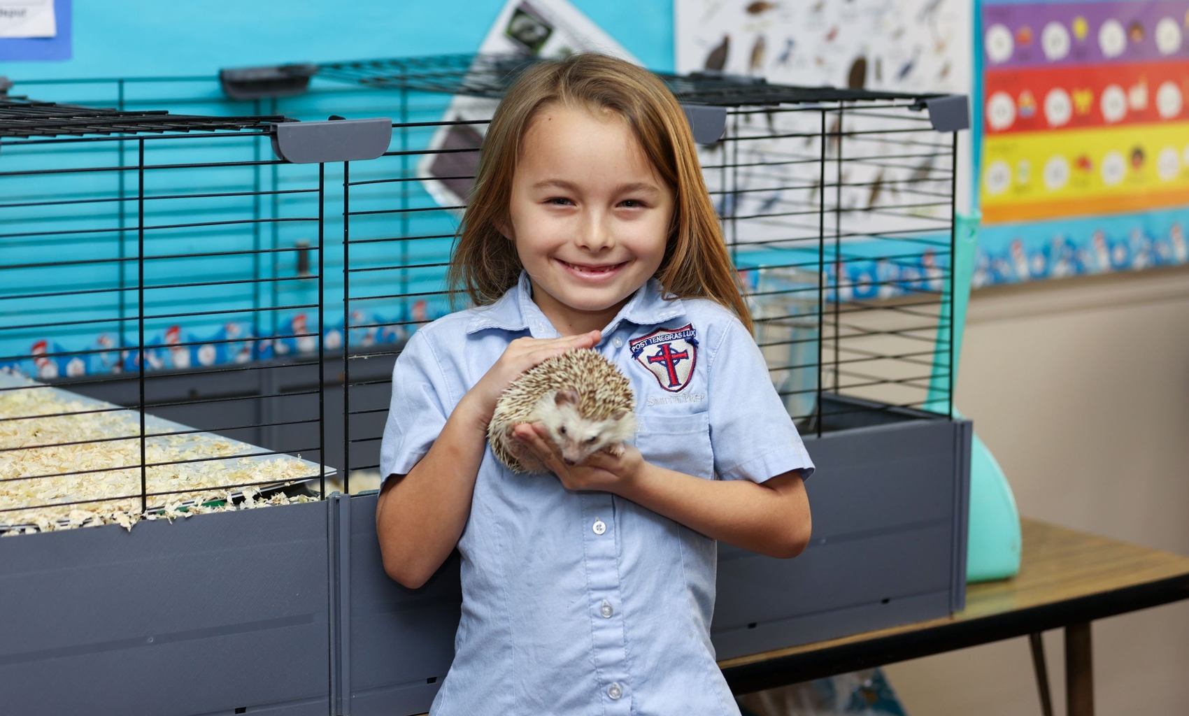 Girl holding hedgehog in classroom